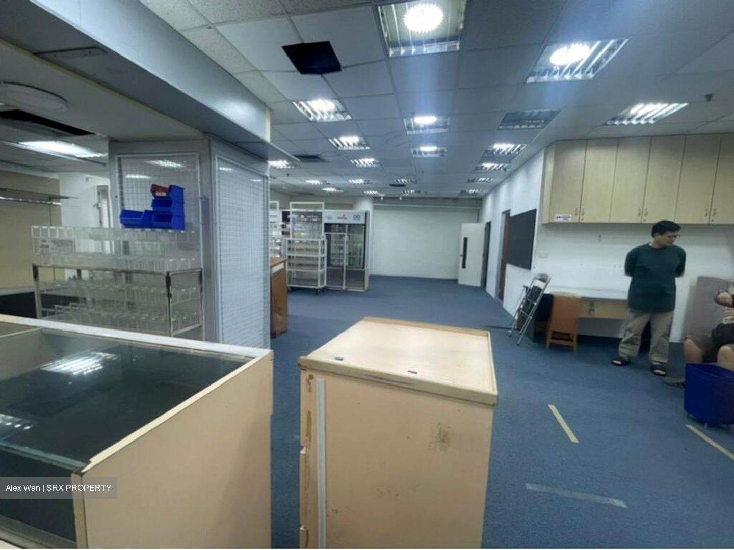 Sim Lim Tower (D8), Shop House #482659321
